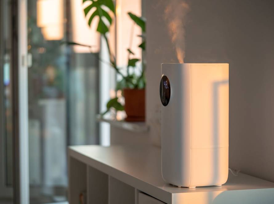 A compact humidifier releasing mist on a table beside a potted plant